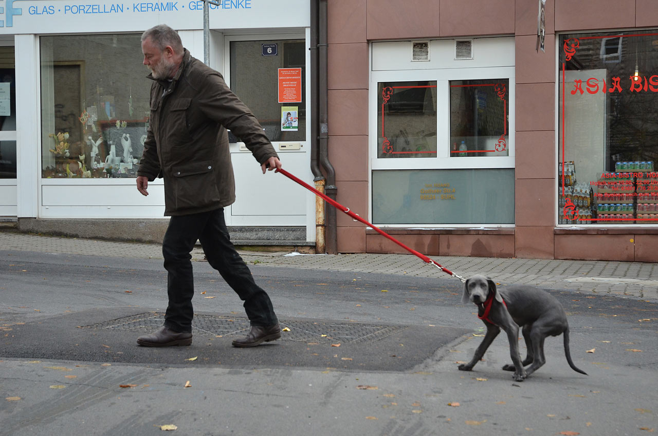 2012-11-28_Widerwillig_gg_17 Widerwillig (Foto: Günter Giese)