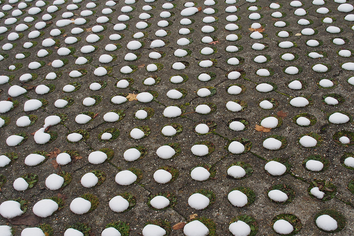 2012-11-zz04_1_schnee_1_mh_15 Serie: Schnee (Foto: Manuela Hahnebach)