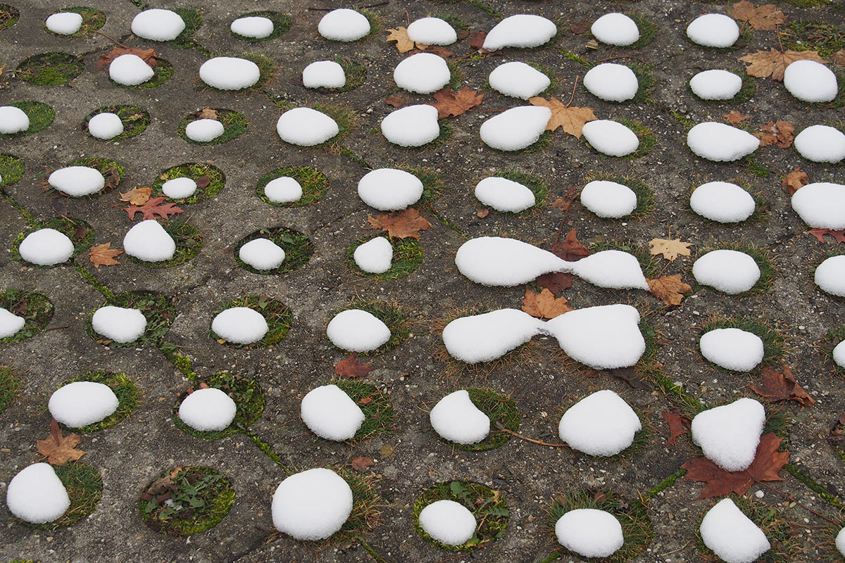 2012-11-zz04_2_schnee_2_mh_15 Serie: Schnee (Foto: Manuela Hahnebach)