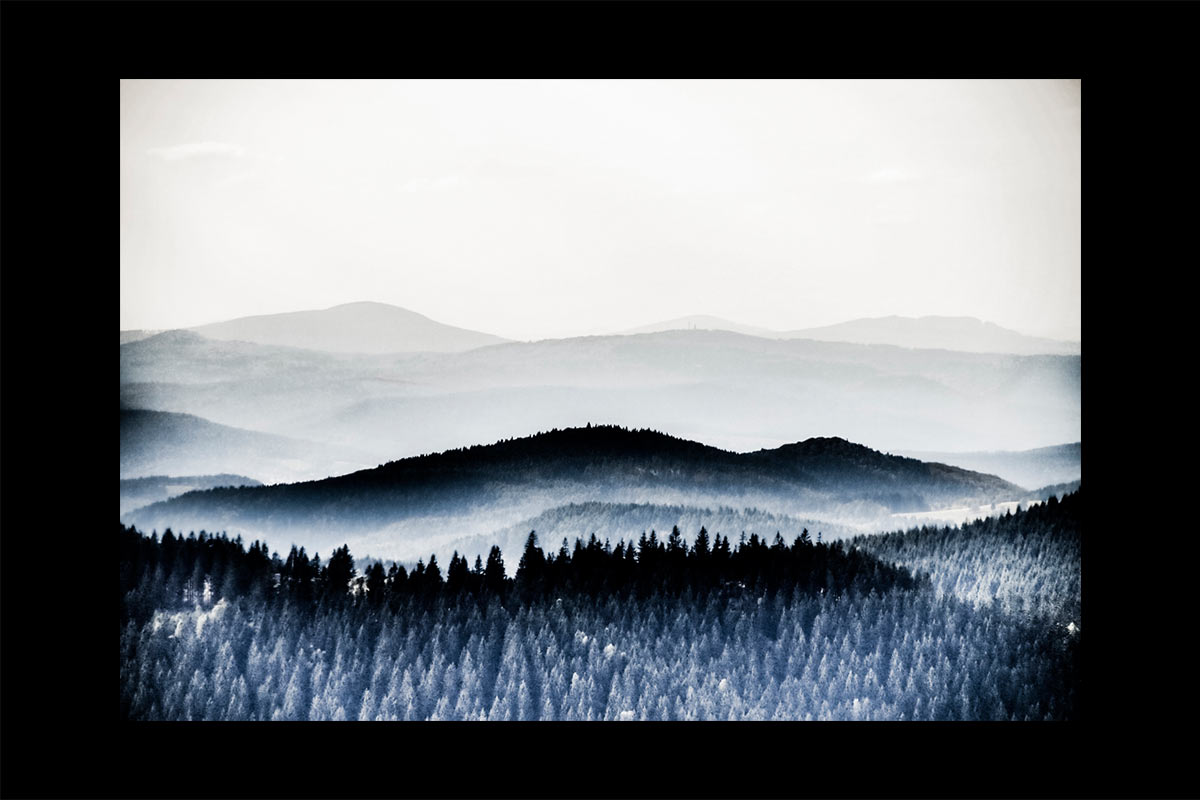 Fotoclub: Bild des Monats 07.2020