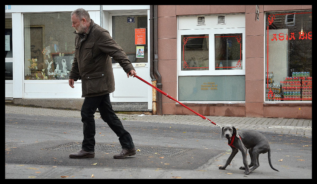 Fotoclub: Mappenbewertung