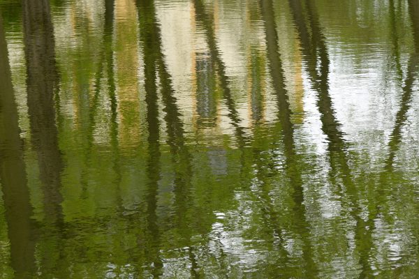 Spiegelung (Foto: Ute Zohles)