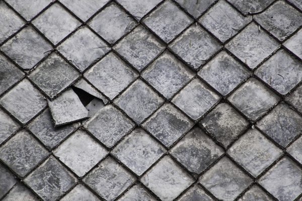 Aus der Reihe (Foto: Roland Kastner)