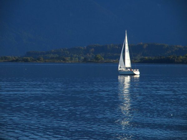 Einsames Segel (Foto: Ines Koch)