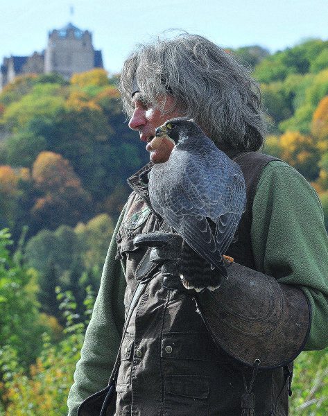 Falkner (Foto: Karl-Heinz Richter)