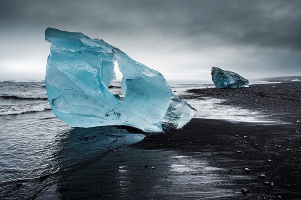 Gestrandet (Foto: Manuela Hahnebach)