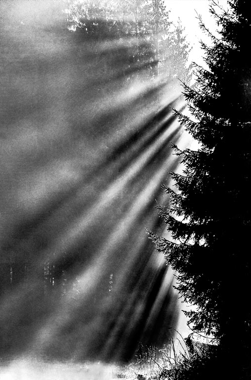 Fotoclub: Fotobearbeitung mit KI