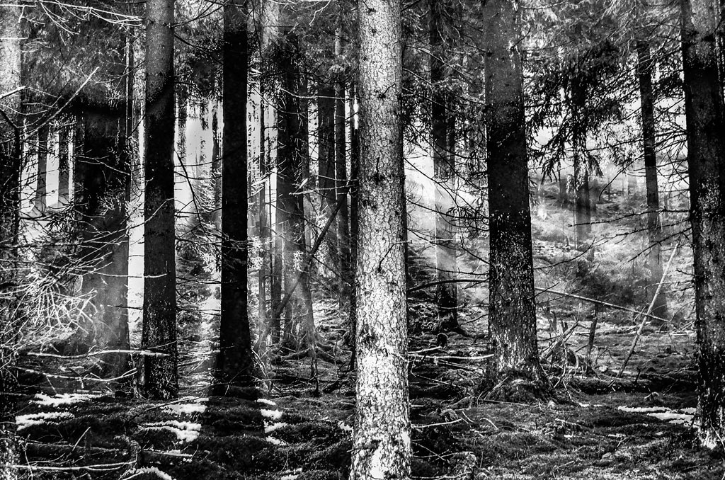 Fotoclub