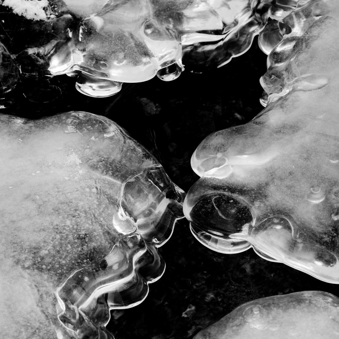 Fotoclub: Bild des Monats 12.2021