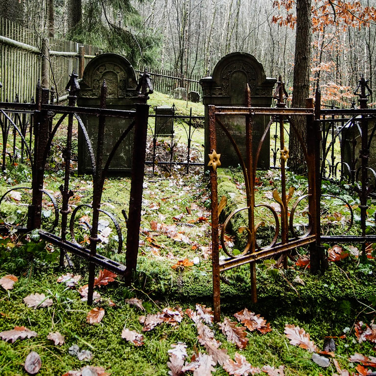 2012-bdj-s04_1_JF1_pz_13 Serie: Jüdischer Waldfriedhof Heinrichs (Foto: Peter Zastrow)