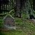Serie: Jüdischer Waldfriedhof Heinrichs (Foto: Peter Zastrow)