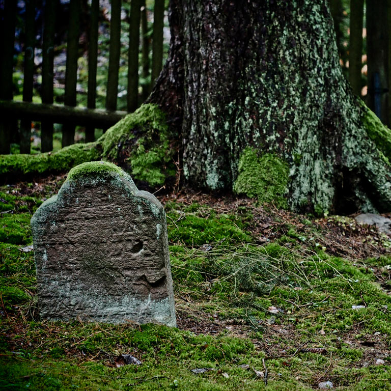2012-bdj-s04_2_JF2_pz_13 Serie: Jüdischer Waldfriedhof Heinrichs (Foto: Peter Zastrow)