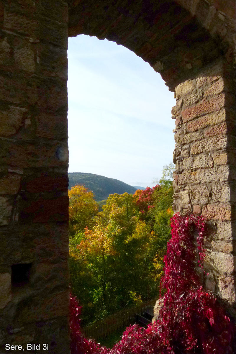 Fotoclub: Bild des Monats 3.2018