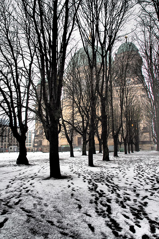 2013-03-17_EM013674_berliner_dom_mh_11 Berliner Dom (Foto: Manuela Hahnebach)