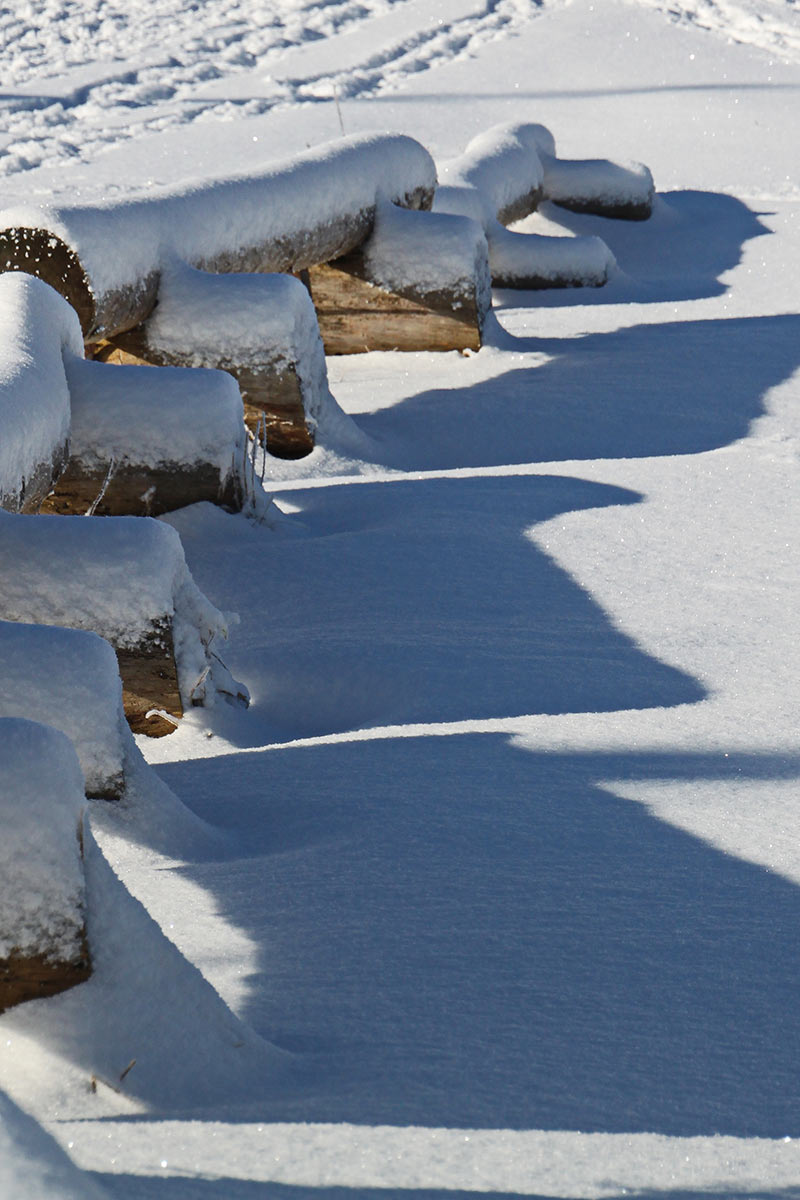 2013-03-27_Schatten-im-Schnee_rok_12 Schatten im Schnee (Foto: Roland Kastner)