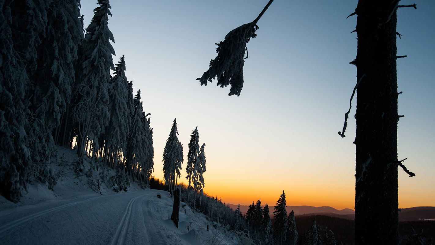 Am Rennsteig (Foto: Uli Pfeufer)