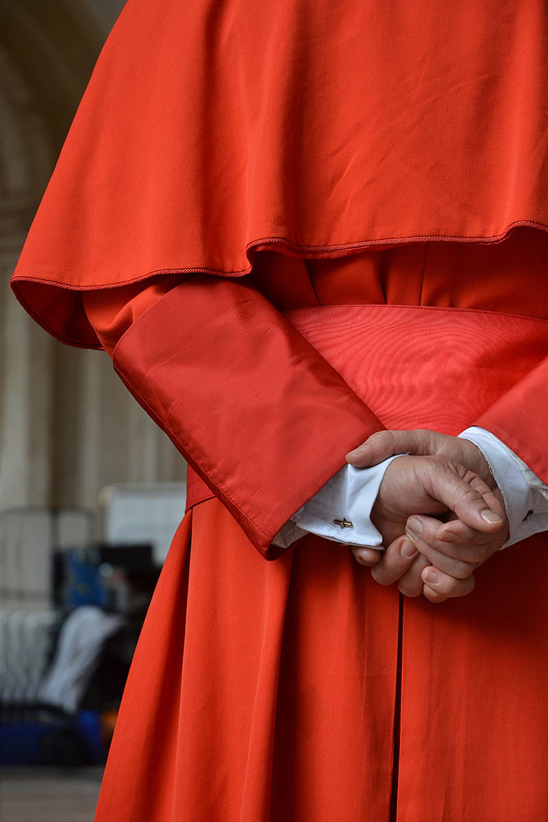 Der Kardinal (Foto: Günter Giese)