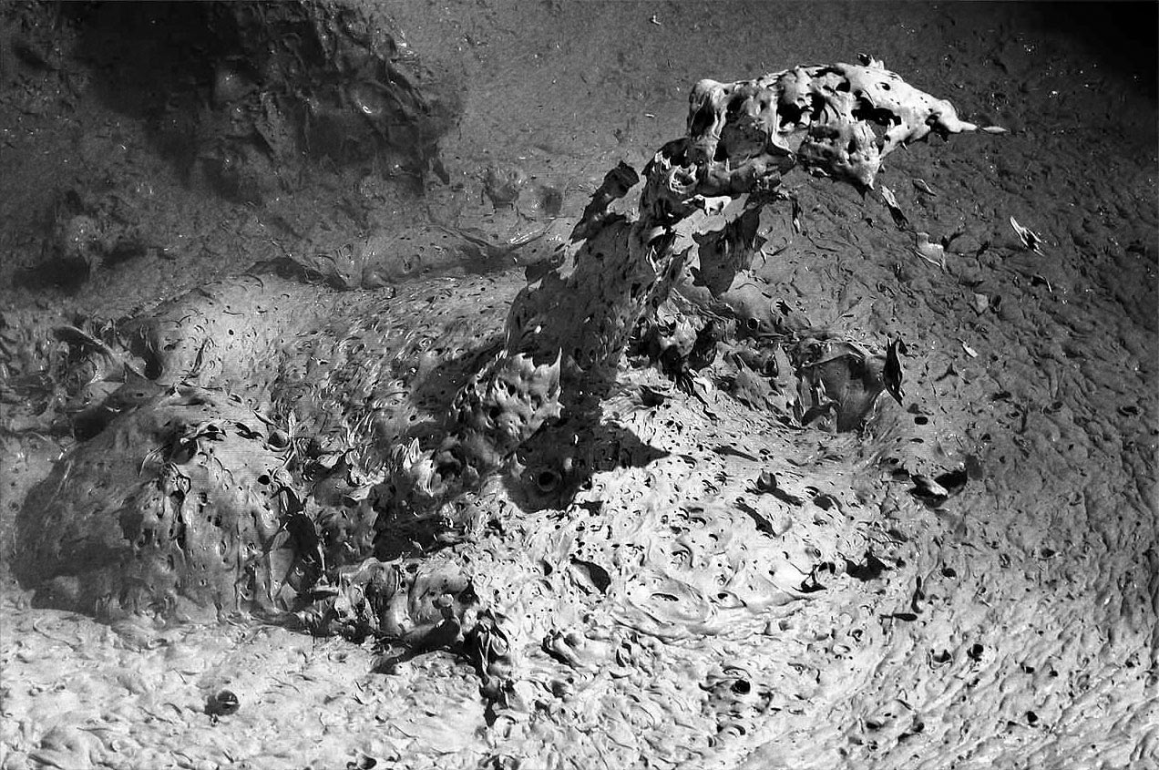 Auf dem Sprung (Foto: Frank Hausdörfer)