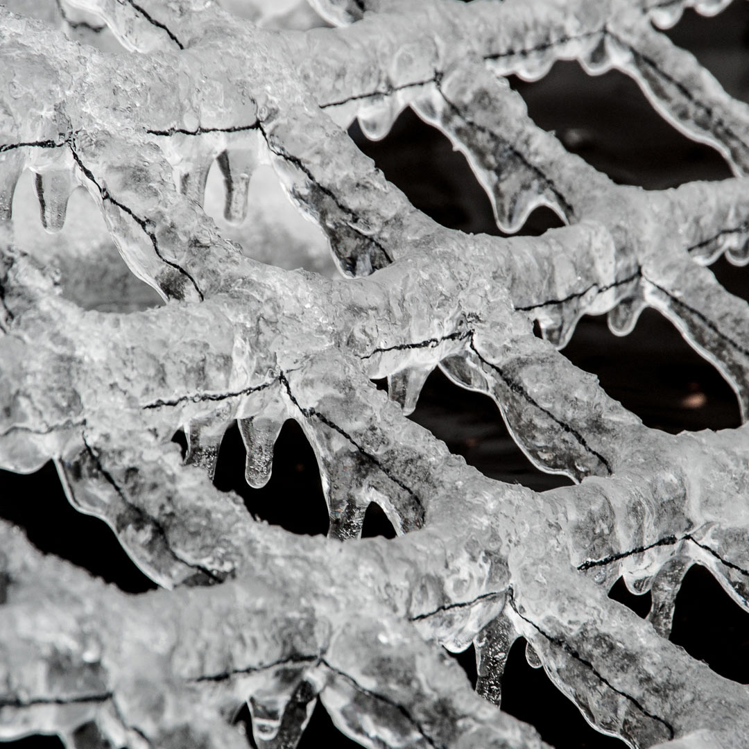 Eisnetz (Foto: Uli Pfeufer)
