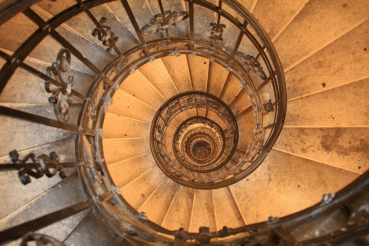 Schnecke (Foto: Peter Maximilian Schmidt)