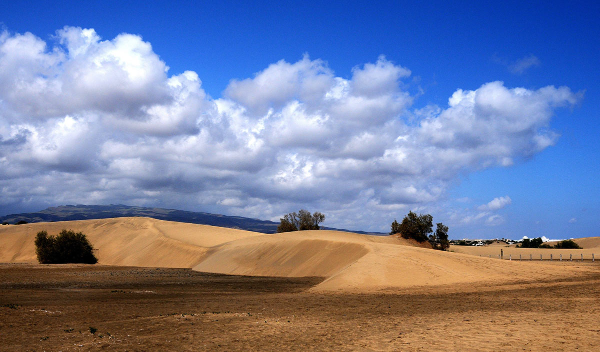 2013-07-14_duene_khr_15 Düne (Foto: Karl-Heinz Richter)