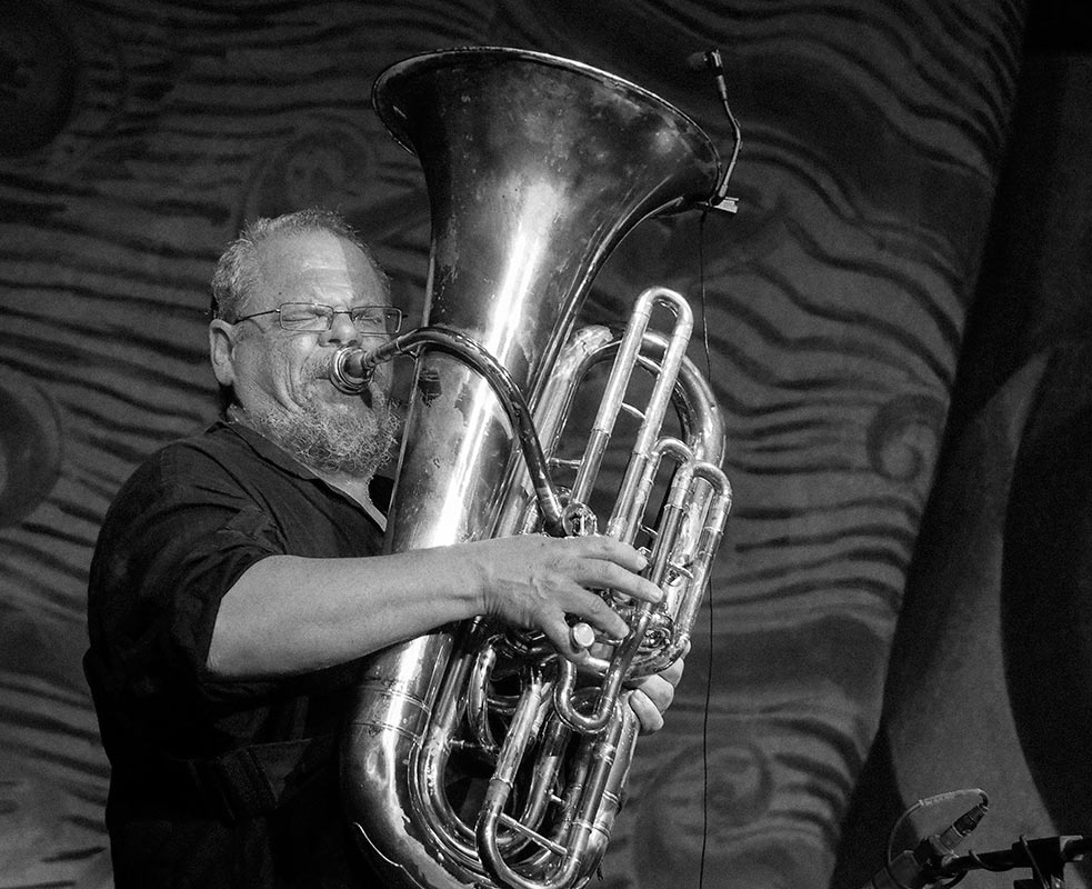 2013-07-34_tubaspieler_mh_15 Tubaspieler (Foto: Manuela Hahnebach)