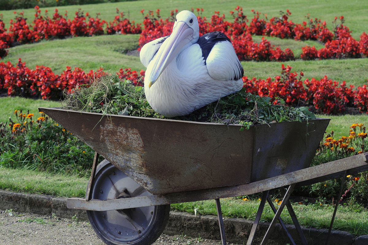 2013-07-zz02_01_20120105_33_uz_15 Serie: Störung (Foto: Ute Zohles)