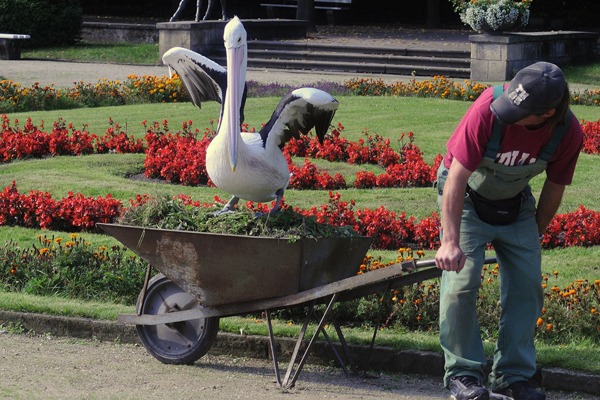 2013-07-zz02_02_20120105_34_uz_15 Serie: Störung (Foto: Ute Zohles)