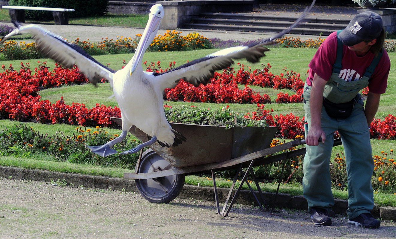 2013-07-zz02_03_20120105_35_uz_15 Serie: Störung (Foto: Ute Zohles)