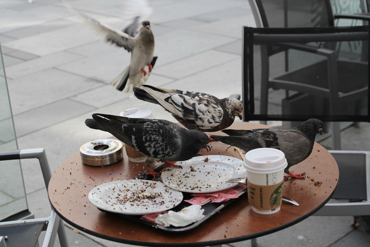 2013-07-zz08_01_schnellimbiss-01_rok_11 Serie: Schnellimbiss (Foto: Roland Kastner)