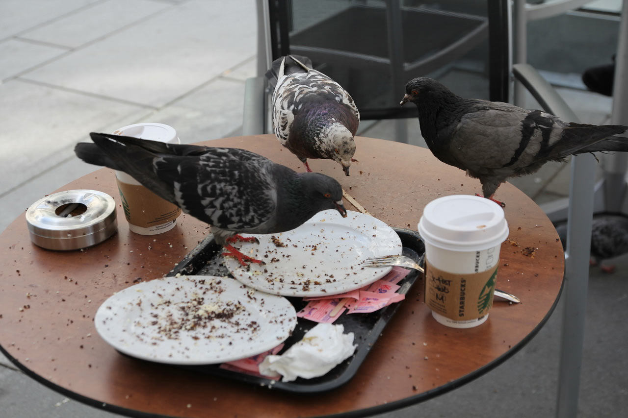 2013-07-zz08_02_schnellimbiss-02_rok_11 Serie: Schnellimbiss (Foto: Roland Kastner)