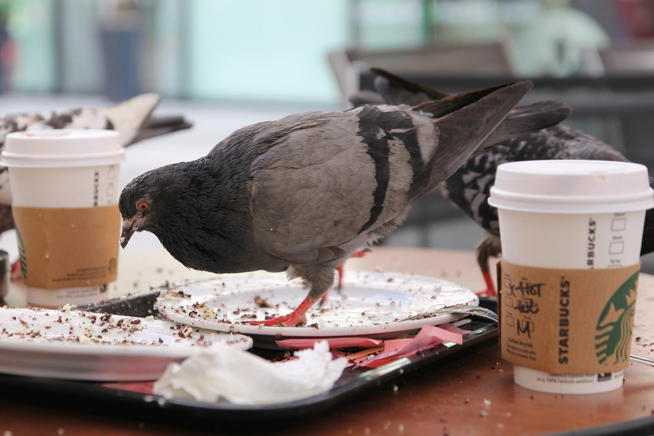 2013-07-zz08_03_schnellimbiss-03_rok_11 Serie: Schnellimbiss (Foto: Roland Kastner)