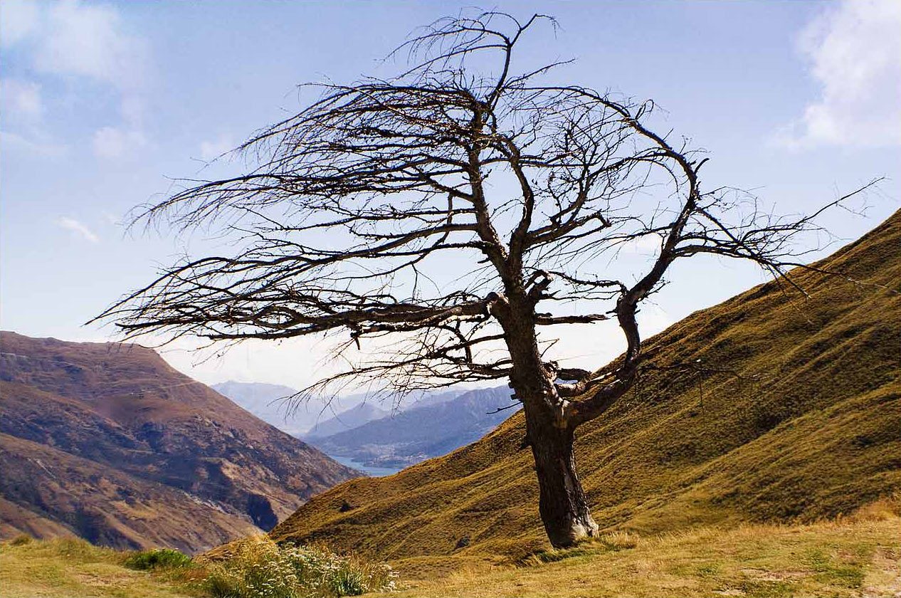 2013-07-zz10_02_ableben-2008_fh_15 Serie: Ableben (Foto: Frank Hausdörfer)