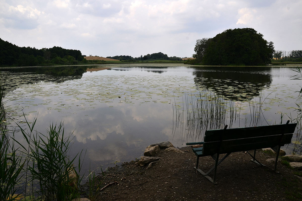 Bank (Foto: Günter Giese)