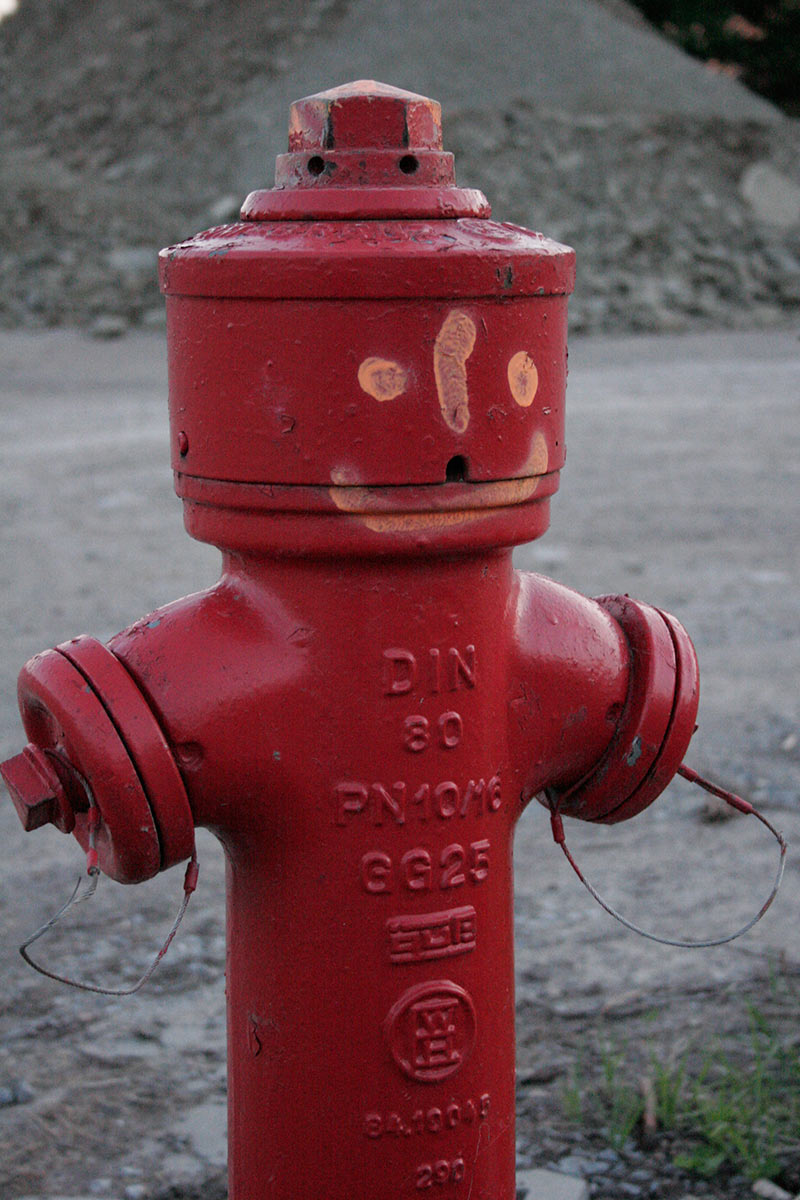 2013-10-24_Immer_laecheln_cf_11 Immer lächeln (Foto: Carolin Fritz)