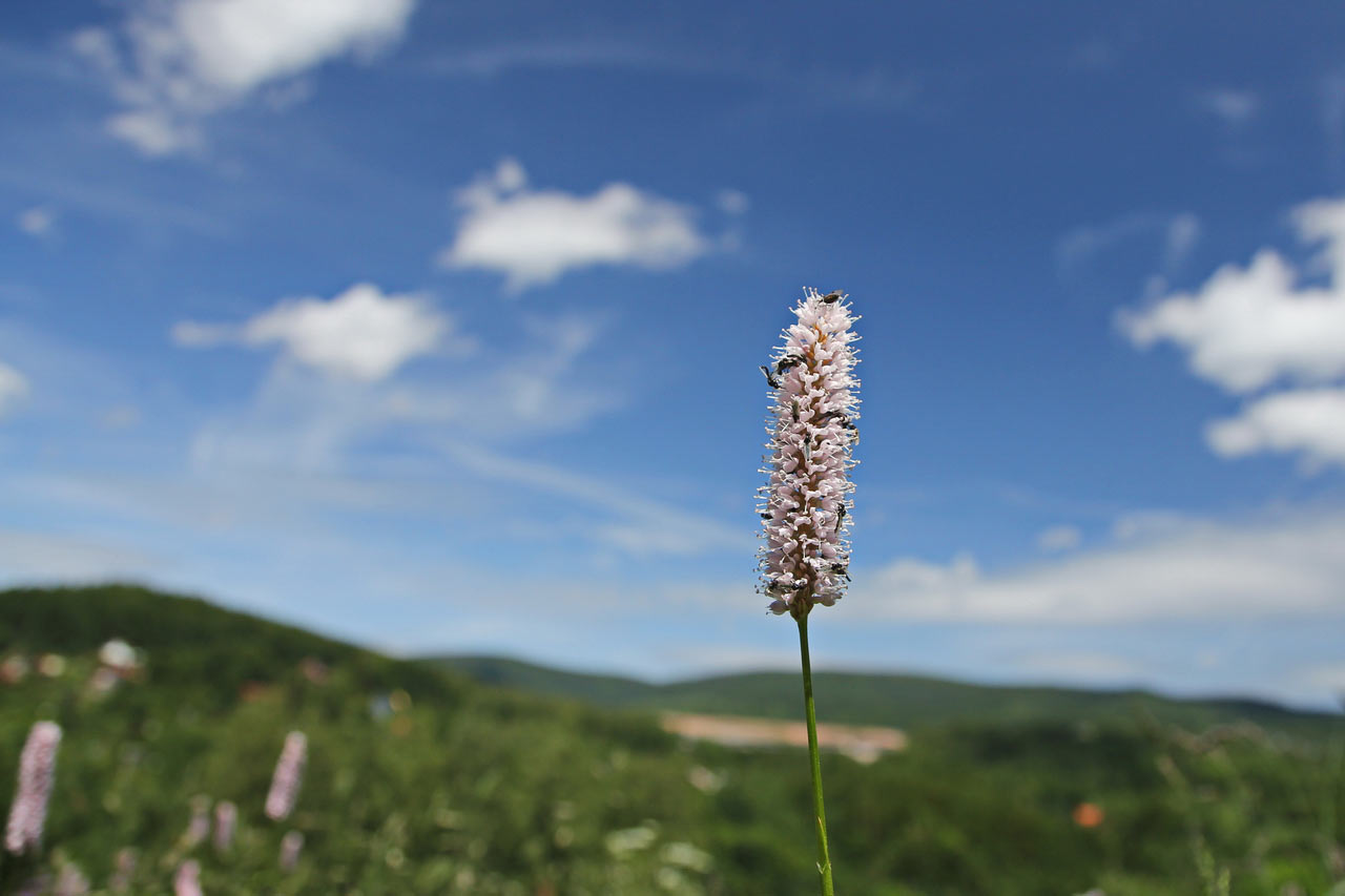 2013-10-46_Ueberbevoelkerung_rok_13 Überbevölkerung (Foto: Roland Kastner)