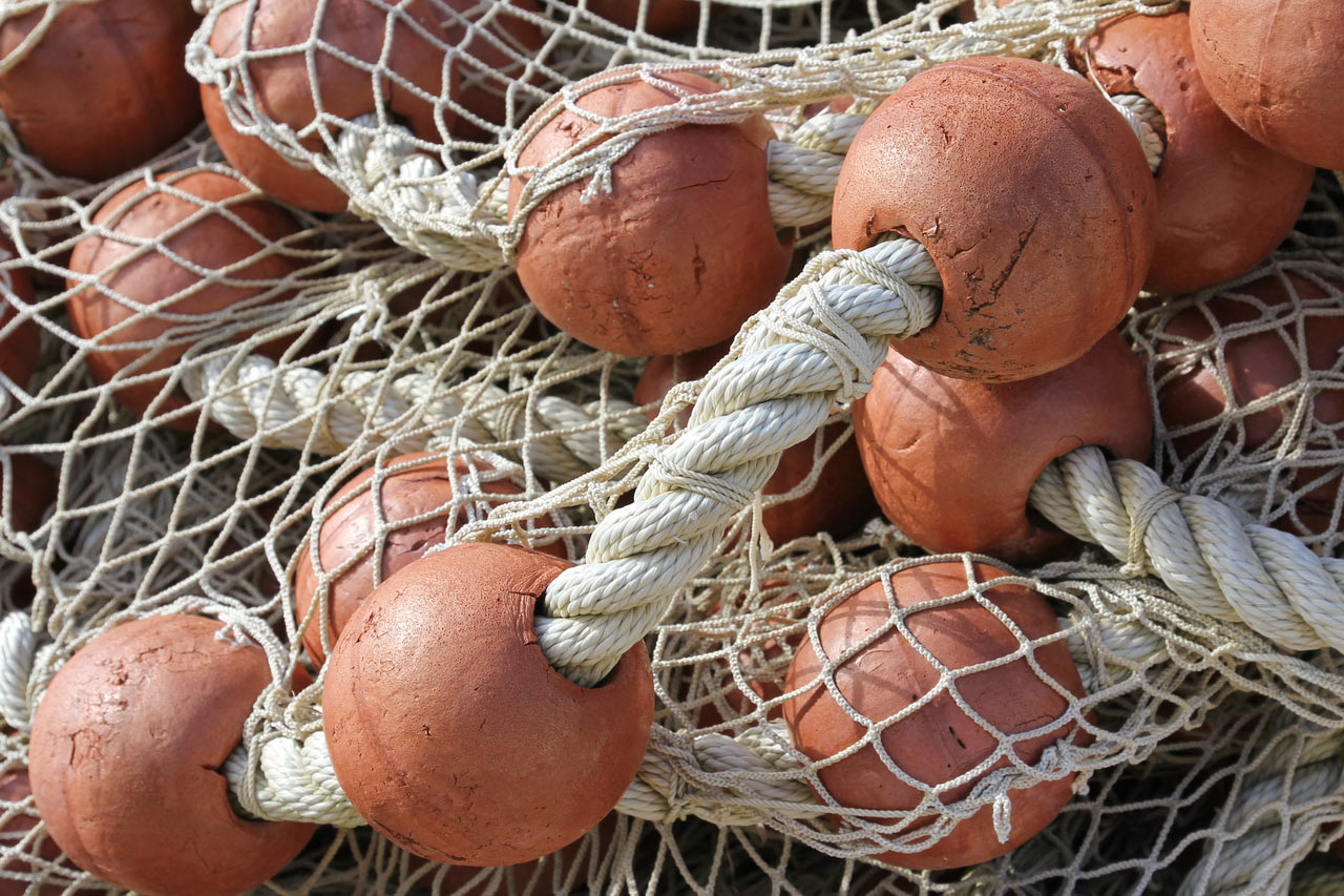 2013-10-zz01_1_Fischerei_01_rok_13 Serie: Fischerei (Foto: Roland Kastner)