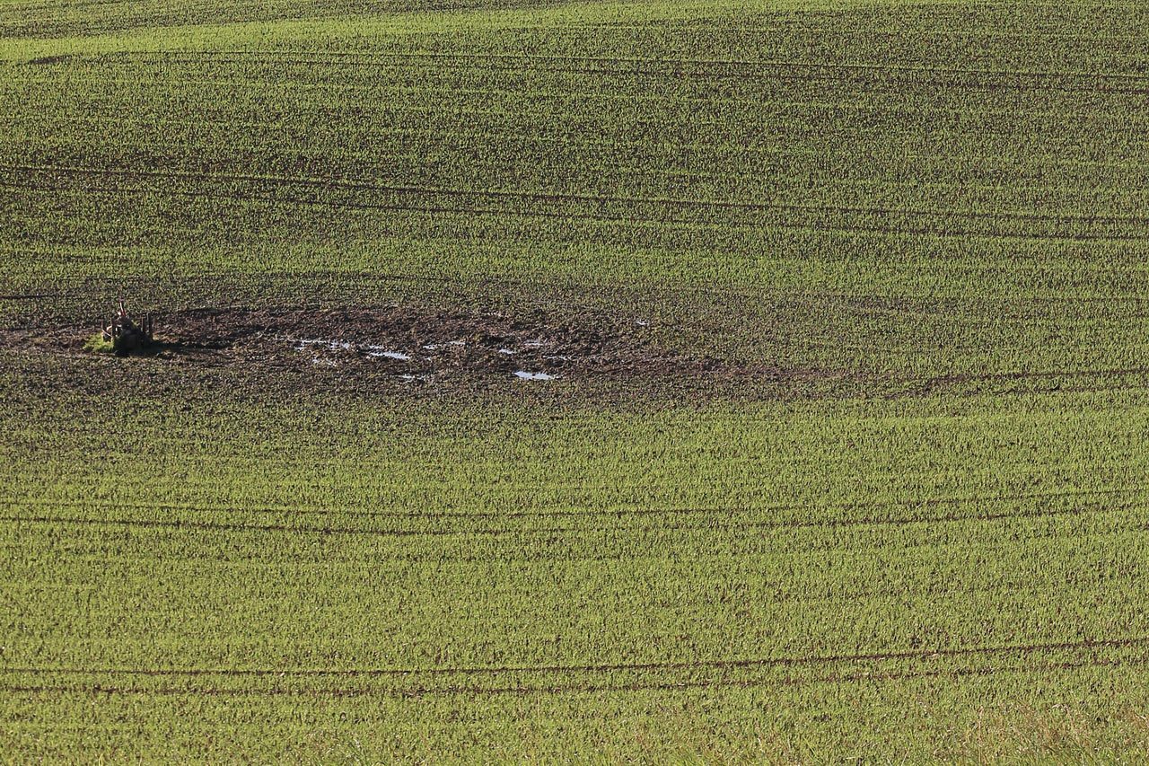 Acker (Foto: Roland Kastner)