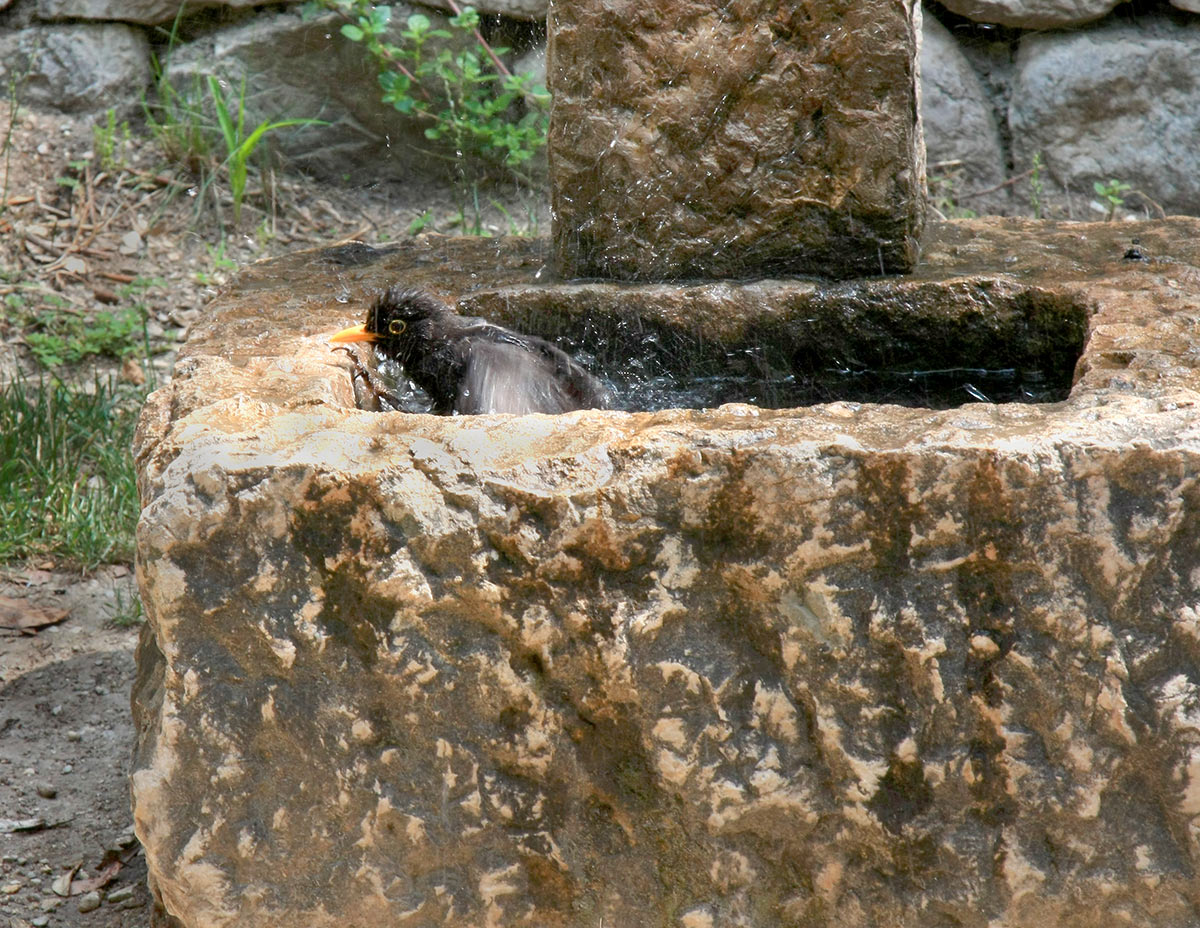 Bad (Foto: Peter Maximilian Schmidt)