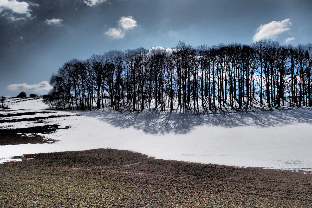 Oster-Wäldchen (Foto: Manuela Hahnebach)