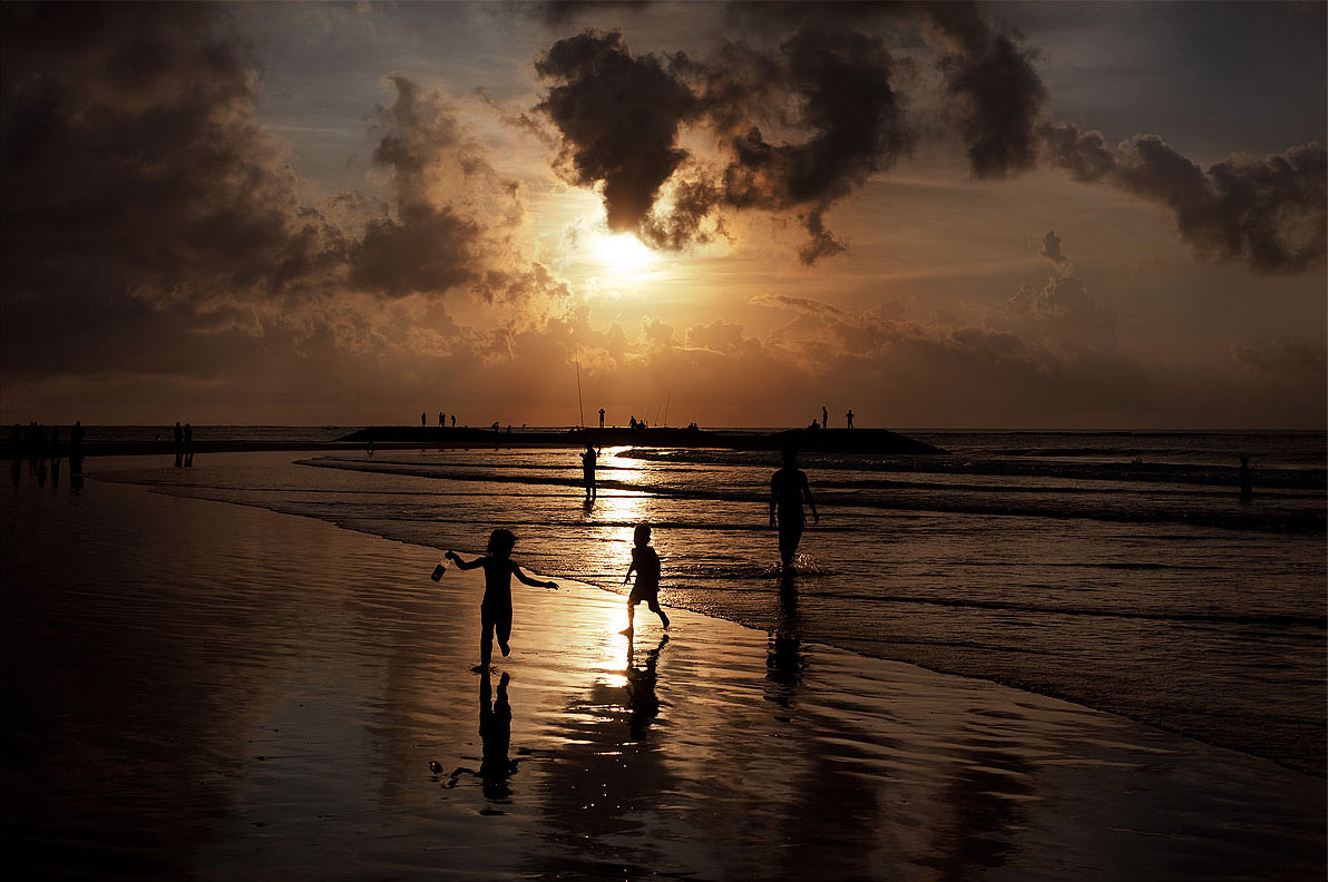 Strandläufer (Foto: Frank Hausdörfer)