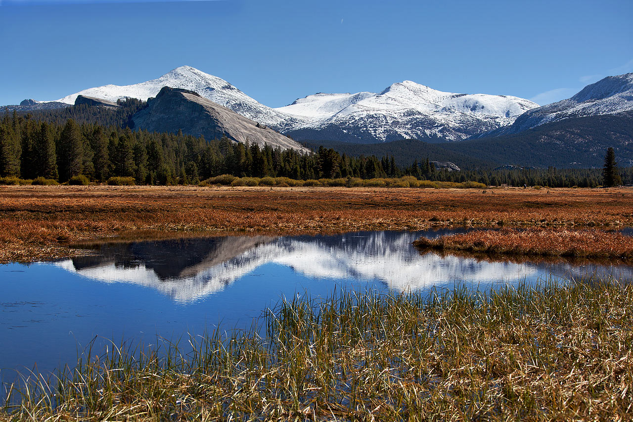 Herbstwiese (Foto: Frank Hausdörfer)