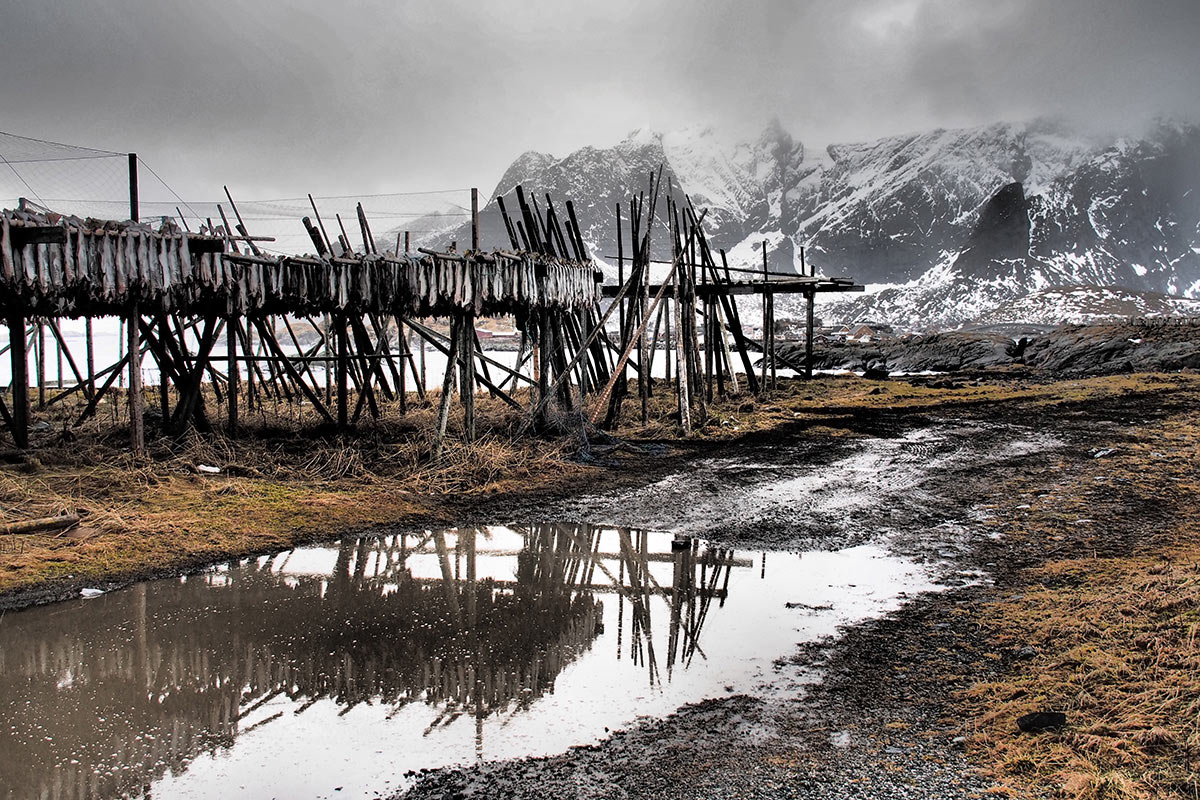 Stockfisch (Foto: Manuela Hahnebach)