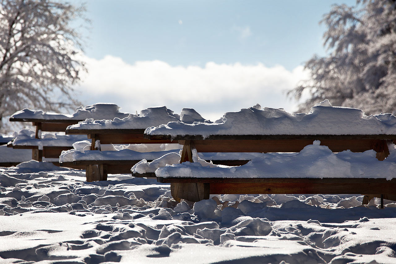 Verwaist (Foto: Frank Hausdörfer)