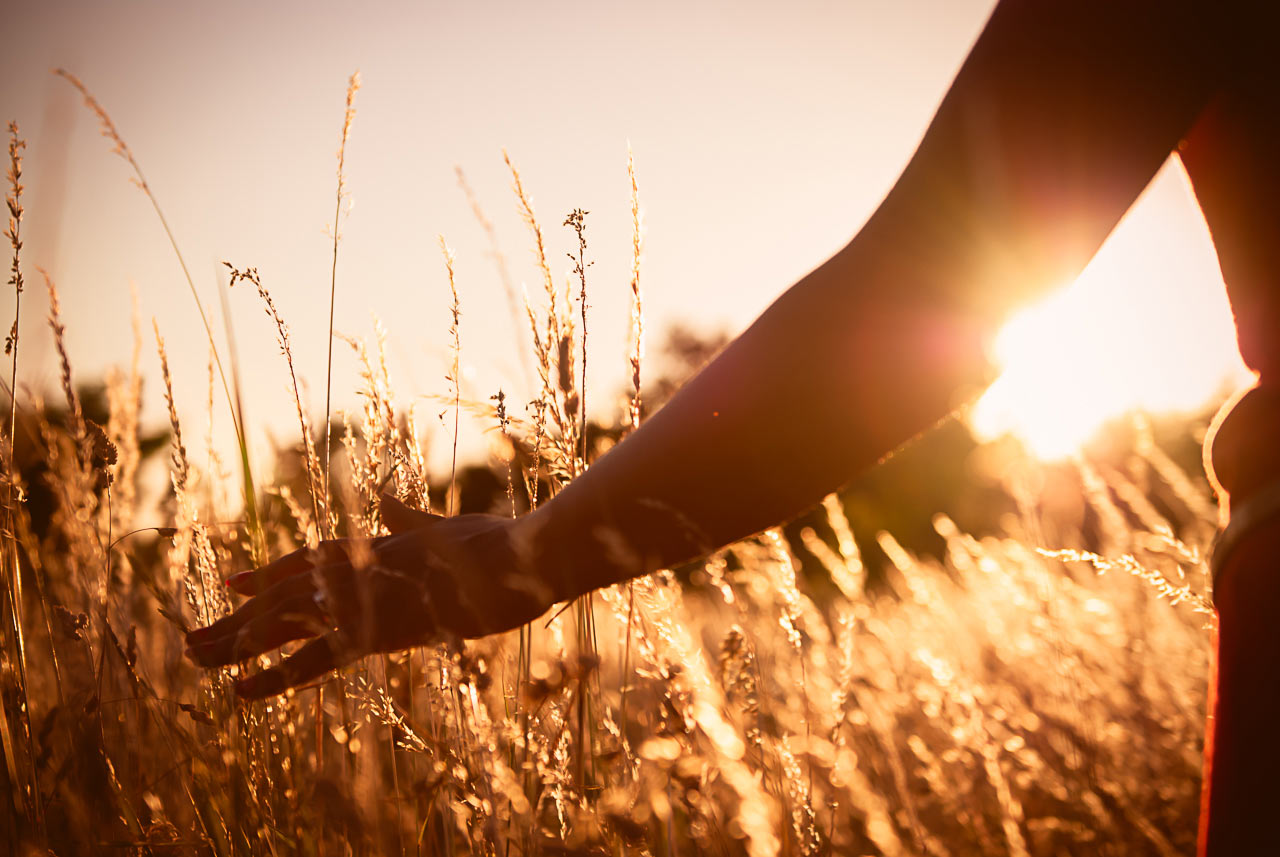 Sommer (Foto: Rene Ehrhardt)