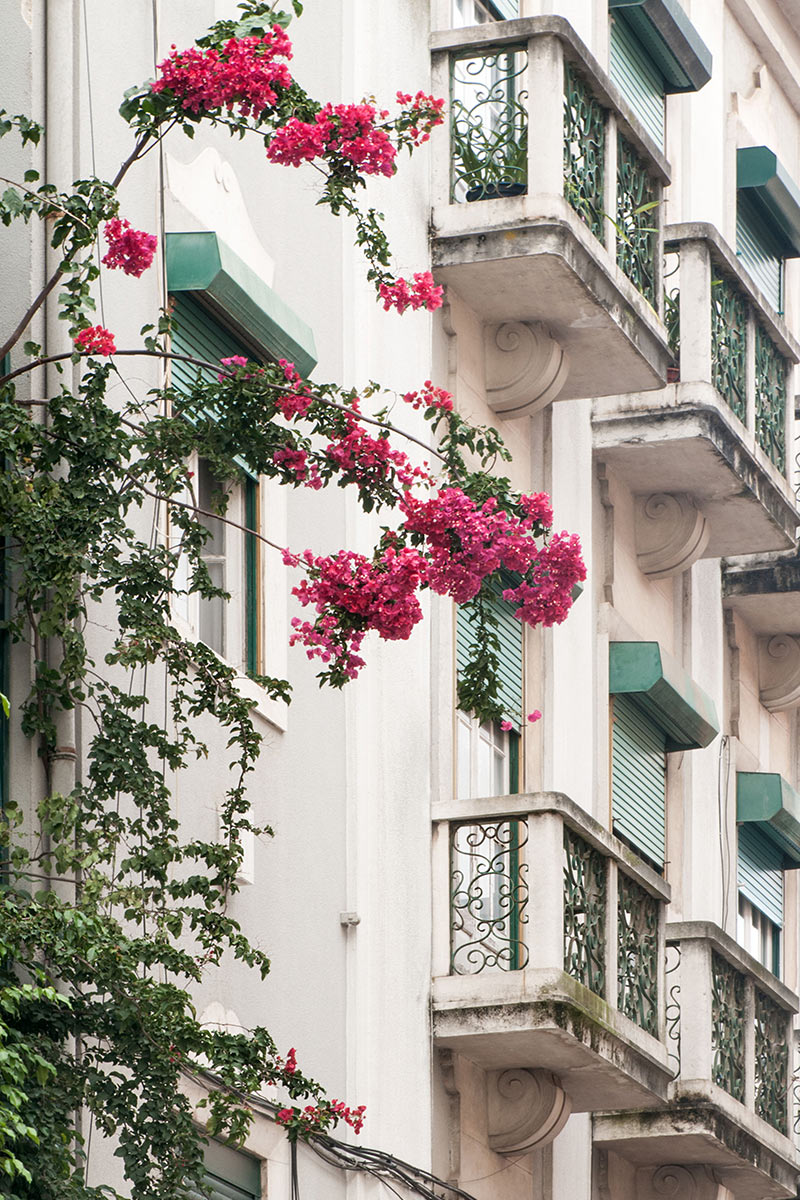 Fassade (Foto: Ute Zohles)