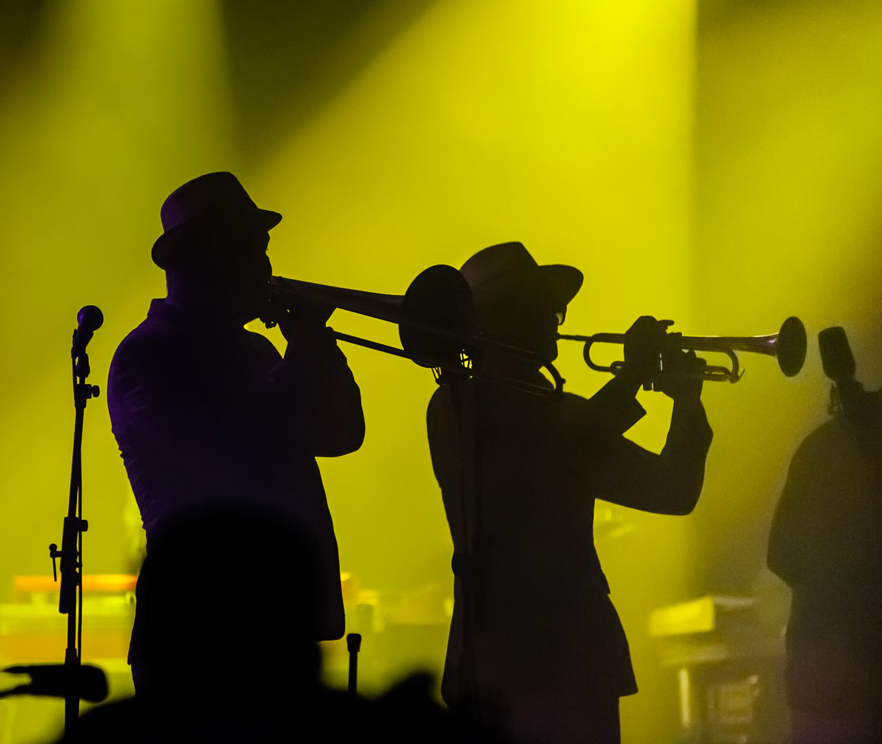 Serie: Alles auf Gelb (Foto: Uli Pfeufer)