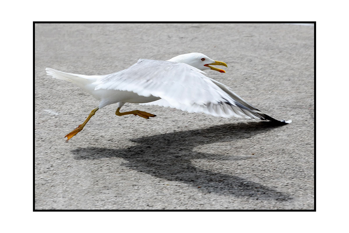 Ausstellungsabbau "Bewegte Bilder"