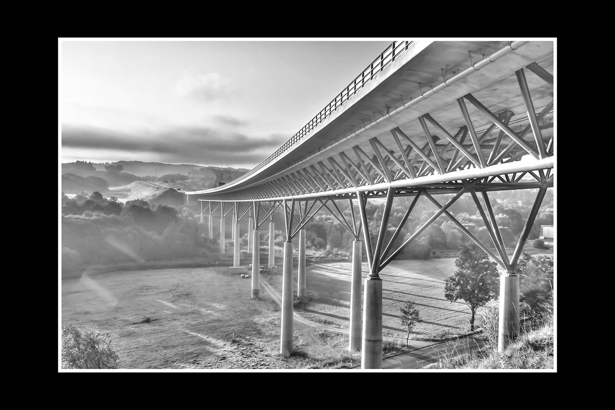 Nach Süden, nach Süden (Foto: Uli Pfeufer)