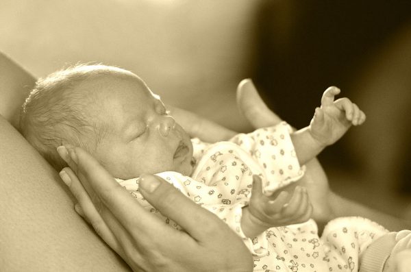 Beschützt (Foto: Günter Giese)